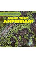 Name That Amphibian!