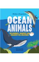 Ocean Animals