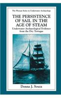 Persistence of Sail in the Age of Steam