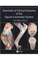 Essentials of Clinical Anatomy of the Equine Locomotor System