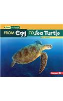 From Egg to Sea Turtle: (Start to Finish, Second Series)
