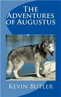 Adventures of Augustus