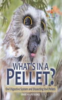 What's in a Pellet? Owl Digestive System and Dissecting Owl Pellets Grade 6-8 Life Science