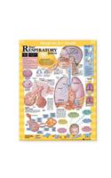 Blueprint for Health Your Respiratory System Chart