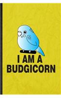 I Am a Budgicorn: Funny Blank Lined Budgie Parakeet Owner Vet Notebook/ Journal, Graduation Appreciation Gratitude Thank You Souvenir Gag Gift, Fashionable Graphic 11