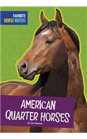 American Quarter Horses