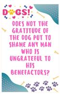 Does not the gratitude of the dog put to shame any man who is ungrateful to his benefactors