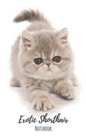 Exotic Shorthair Notebook: 120 pages, 6"x9" - Lined Exotic Shorthair Notebook / Journal - Great Accessories & Gift Idea for Exotic Shorthair Owner & Lover. Great Notepad for S