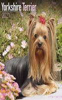 Yorkshire Terrier 2021 Wall Calendar