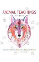 Animal Teachings