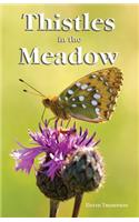 Thistles in the Meadow