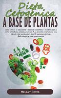 Dieta Cetogénica a Base de Plantas