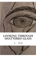 Looking Through Shattered Glass