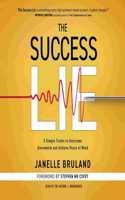 Success Lie