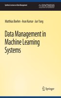 Data Management in Machine Learning Systems