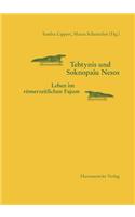 Tebtynis Und Soknopaiu Nesos