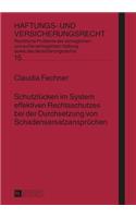 Schutzluecken im System effektiven Rechtsschutzes bei der Durchsetzung von Schadensersatzanspruechen