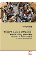 Recombination of Plasmid-Borne Drug Resistant