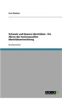 Schwule und Queere Identitäten - Ein Abriss der homosexuellen Identitätsentwicklung