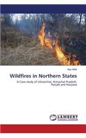 Wildfires in Northern States