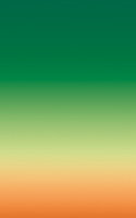 Stefan Heyne: Naked Light