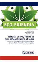 Natural Enemy Fauna in Rice-Wheat System of India
