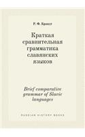 Brief comparative grammar of Slavic languages: (Russian)