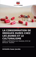 La Consommation de Drogues Dures Chez Les Jeunes Et Le Culturalisme