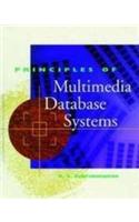 Principles Of Multimedia Database System