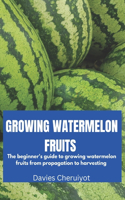 Growing Watermelon Fruits