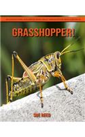 Grasshopper! An Educational Children's Book about Grasshopper with Fun Facts