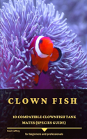 Clown Fish: 10 Compatible Clownfish Tank Mates (Species Guide)