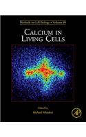 Calcium in Living Cells