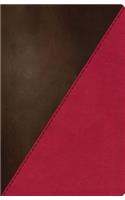 NKJV Study Bible, Leathersoft, Pink/Brown, Thumb Indexed: Full-Color Edition