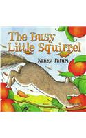 The Busy Little Squirrel