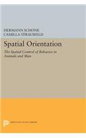 Spatial Orientation