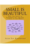 Small Is Beautiful: Why the Small Is Numerous But the Big Is Rare in the World