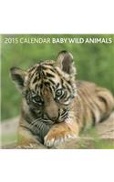 Baby Wild Animals 2015 Calendar