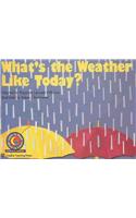 What's the Weather Like Today?
