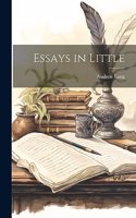 Essays in Little