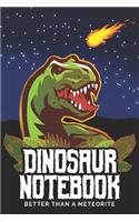 Dinosaur Notebook Better Than A Meteorite