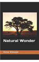 Natural Wonder