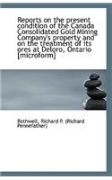 Reports on the Present Condition of the Canada Consolidated Gold Mining Company's Property and on Th