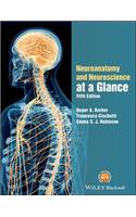 Neuroanatomy and Neuroscience at a Glance