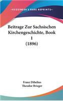 Beitrage Zur Sachsischen Kirchengeschichte, Book 1 (1896)