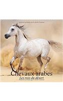 Chevaux Arabes * les Rois du Desert 2017