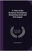 A View of the Scripture Revelations Respecting Good and Evil Angels