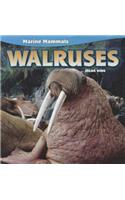 Walruses