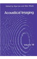 Acoustical Imaging