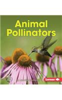 Animal Pollinators